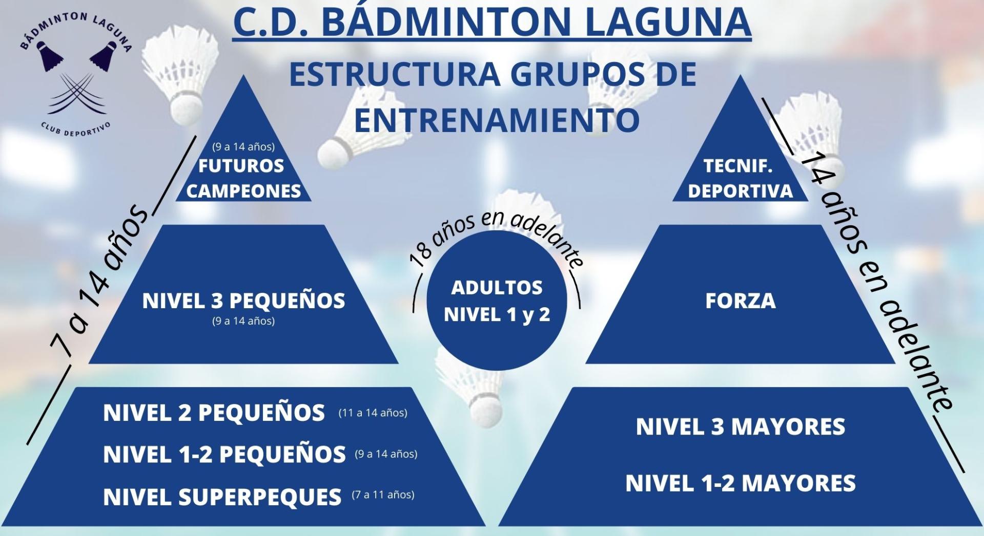 Estructura grupos de entrenamiento c d badminton laguna